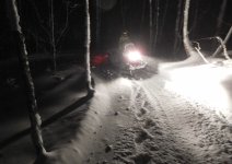 nightgrooming00[1].jpg