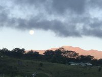 IMG_1347.JPG
