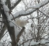 IMG_20191215_113020054.jpg