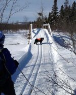 IMG_20200201_111534650.jpg