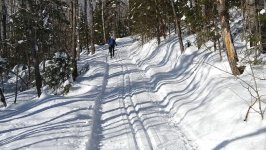 IMG_20200201_111744286.jpg