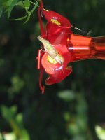 IMG_0285.JPG