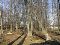 DSCN1706.jpg