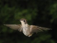 IMG_0081ec2u.jpg