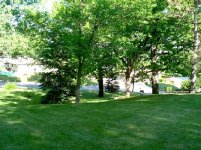 882702-417 Yard -smaller.JPG