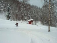 828385-utedo 1.jpg