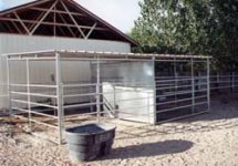 shedrow.jpg