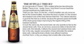 828667-Buffalo Theory.jpg