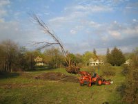 884128-IMG_8936 800x600.jpg