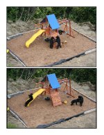 four playground visitors.JPG