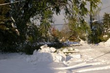 Storm 2006 wires.jpg