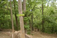 884677-5 12 06 WOODS 3A.jpg