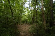 884679-5 12 06 WOODS 16A.jpg