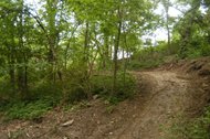 884684-5 12 06 WOODS SIDE CUT ROAD LOOKING UP 8 A.jpg