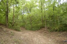 884992-5 12 06 WOODS 12.jpg