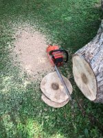 h266wood.jpg