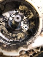 s311oil.jpg
