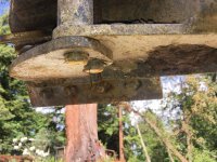 Blade Track Digger under_9442.jpg