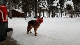 20190125_170339.jpg 20190125_170339.jpg