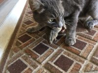 IMG_3883.JPG