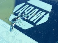 IMG_6797.JPG