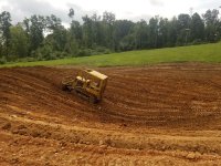 Still pushing soil - resized.jpg