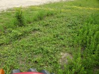 20200714_192706.jpg