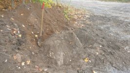 IMG_20201003_121804.jpg