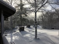 IMG-8791.JPG