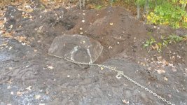 IMG_20201003_122558.jpg