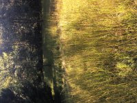 8897BB5F-533B-451E-B356-AFC5D03870D0.jpeg