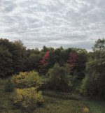 DJI_0139.JPG DJI_0139.JPG