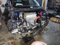 2016 Leaf strip.jpg 2016 Leaf strip.jpg