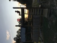 IMG_4017.JPG IMG_4017.JPG