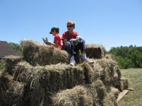 20070702132136_OH_hay_0926.jpg