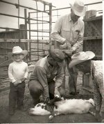 image0-8.jpg