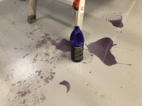 RoyalPurpleSpill.JPG
