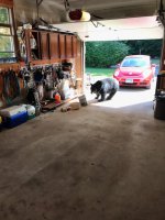 IMG_0804.jpg