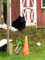 IMG_0092.jpg