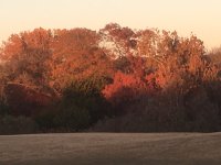 IMG_4207.JPG