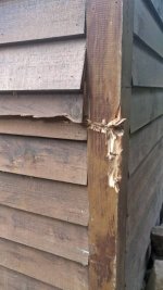 IMG_20200916_180537.jpg