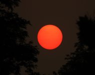 IMG_0083.JPG
