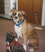 SCAN0086_2.JPG