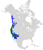 3C6EA208-32CA-4AB0-AAE2-E82E4E22E56A.png