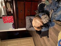 IMG_1002[1].JPG