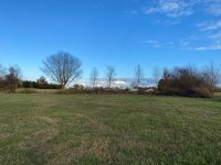 20201108 Pasture Fence Line 1.JPG