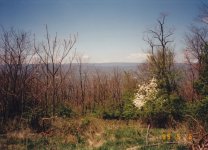 IMG_6859.JPG
