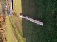 plank20201107_095213.jpg