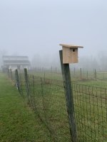 IMG_5348.jpg