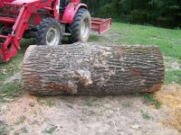 10-9-20 Smaller Red Oak Log Only 6.5 Feet Long.jpg